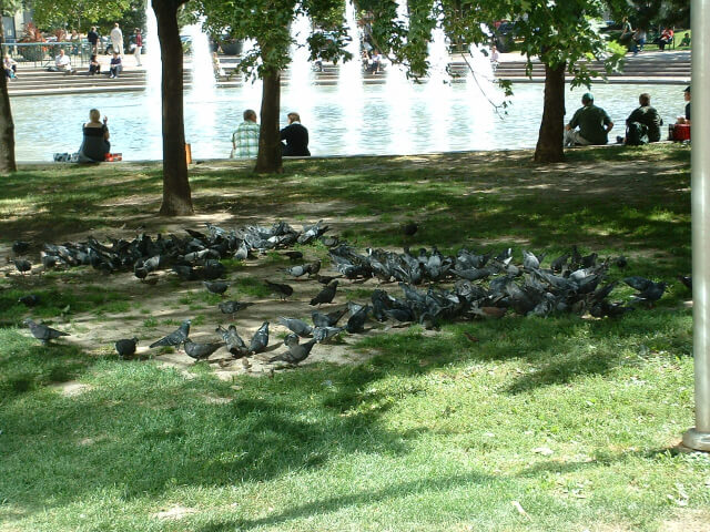 Resting place